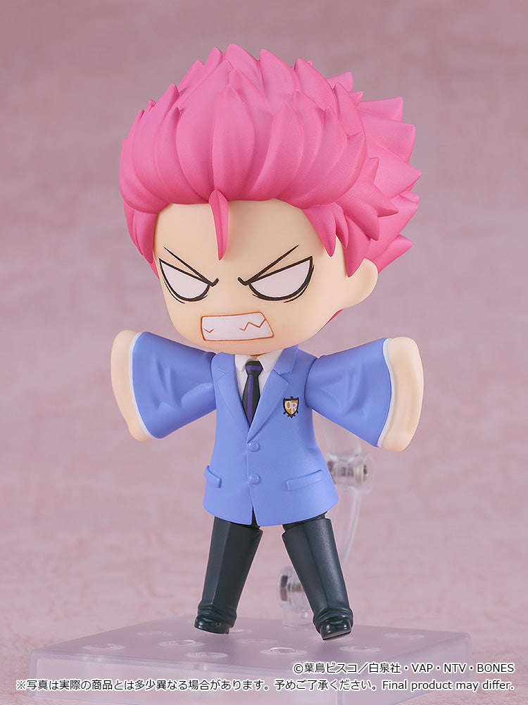 2424 Nendoroid Hikaru Hitachiin