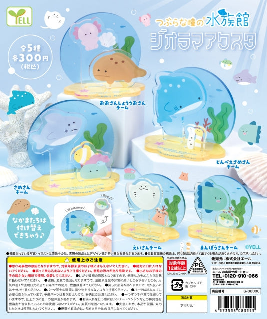 WY0045 Tsuburana Eyes Aquarium Diorama Acrylic Stand