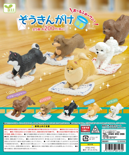 WY0050 Floor cleaning dogs