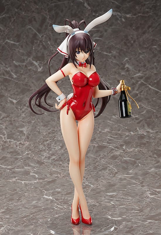 FREEing 1/4th Houki Shinonono Bare Leg Bunny Ver