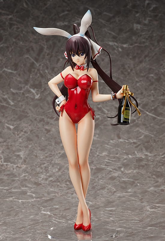 FREEing 1/4th Houki Shinonono Bare Leg Bunny Ver