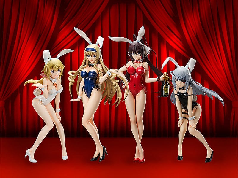 FREEing 1/4th Houki Shinonono Bare Leg Bunny Ver