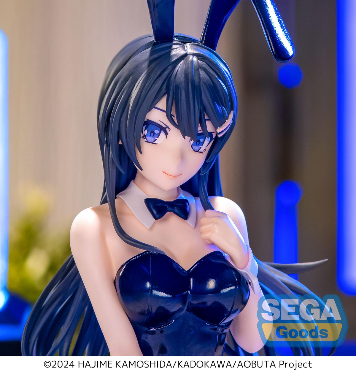 Rascal Does Not Dream Series Yumemirize Mai Sakurajima Bunny