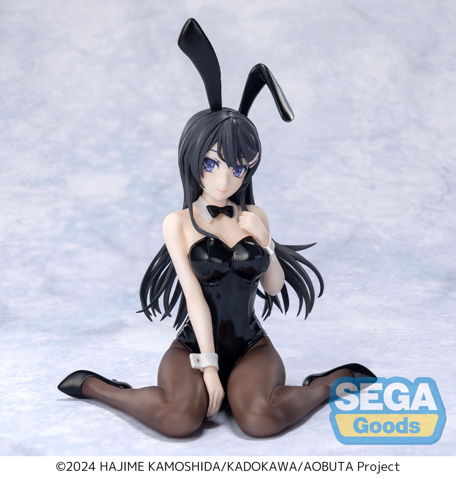Rascal Does Not Dream Series Yumemirize Mai Sakurajima Bunny