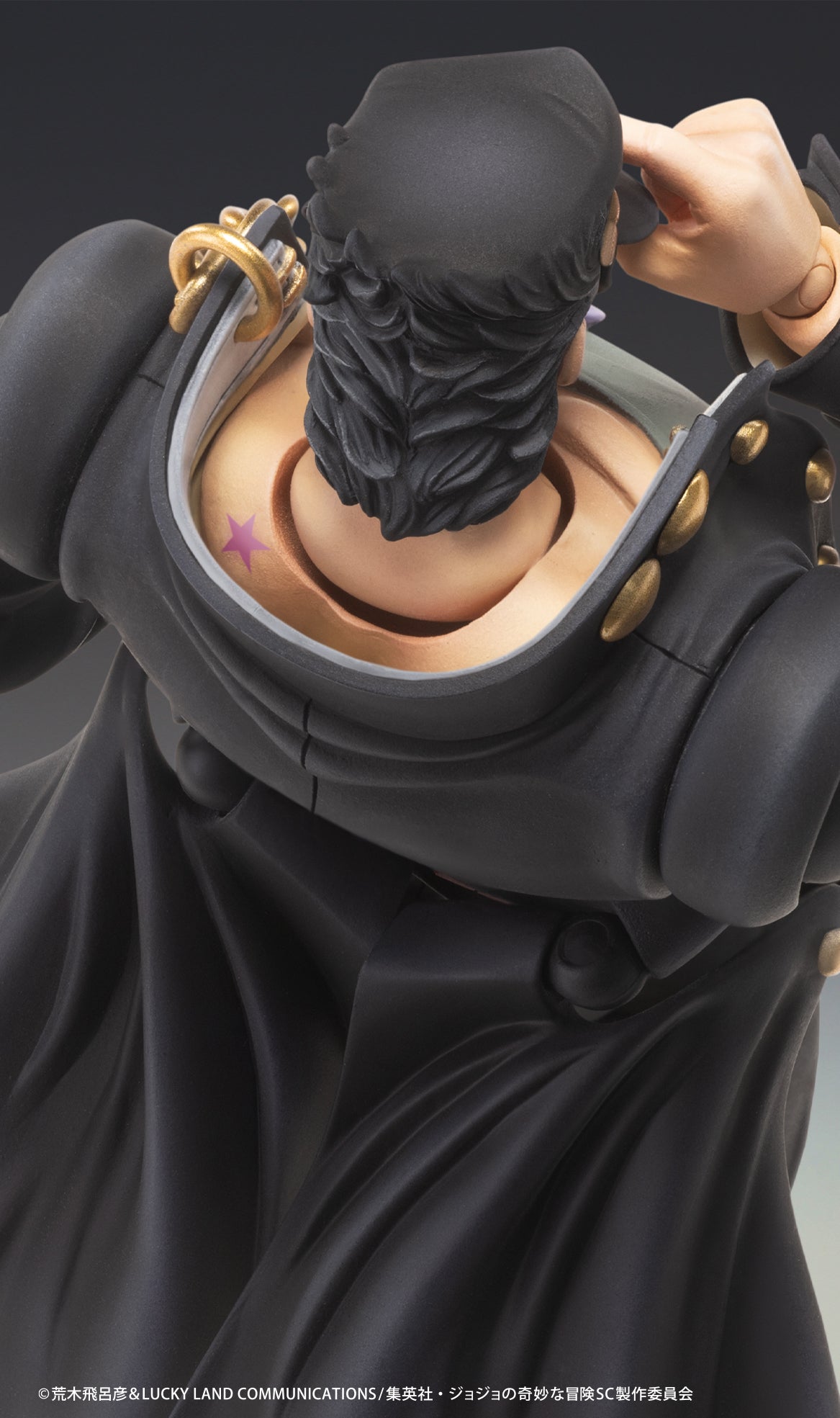 JoJo's Bizarre Adventure: Stardust Crusaders Chozokado Jotaro Kujo Ver 2
