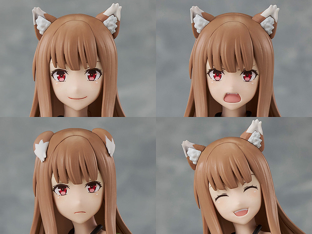 Spice and Wolf : Merchant Meets the Wise Wolf PLASTIC MODEL SERIES Holo DX Ver