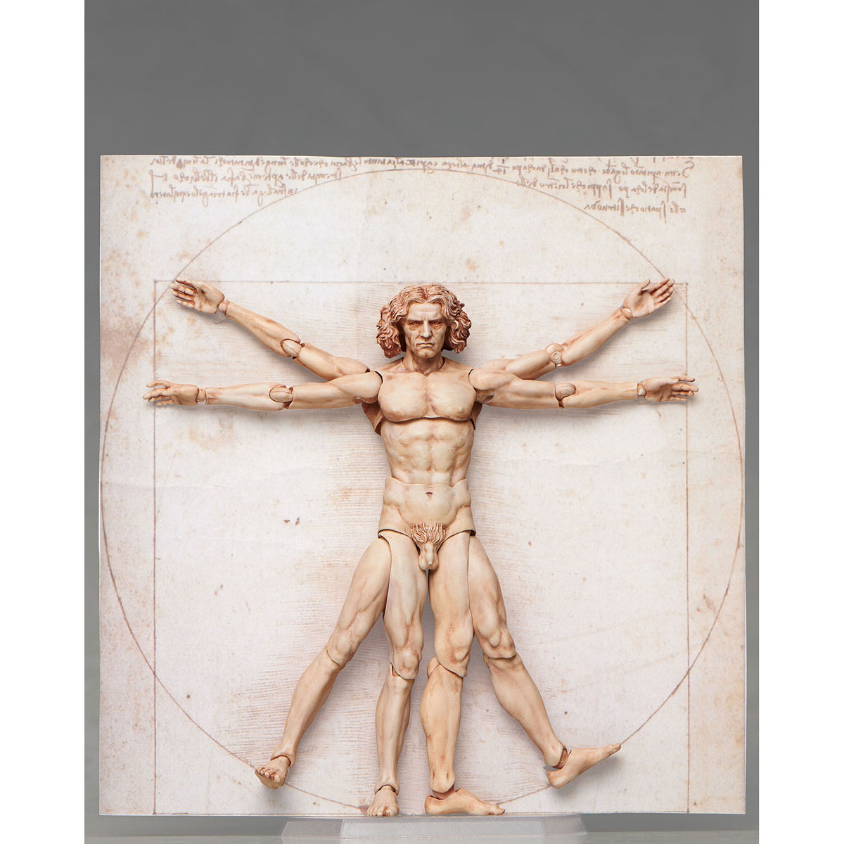 SP-075 figma Vitruvian Man