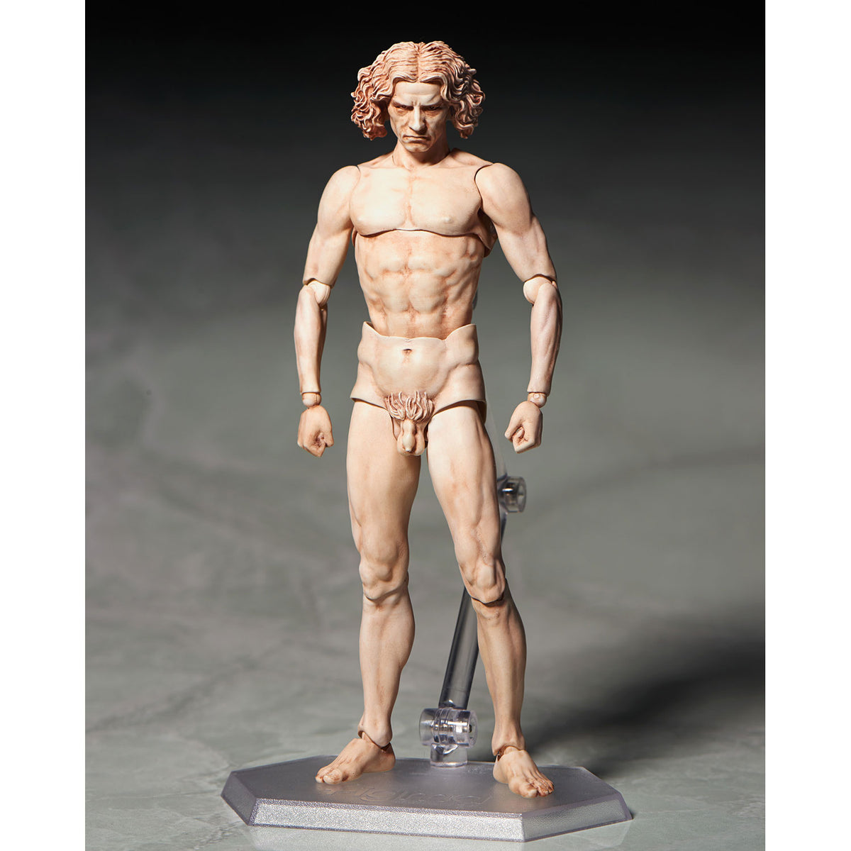 SP-075 figma Vitruvian Man