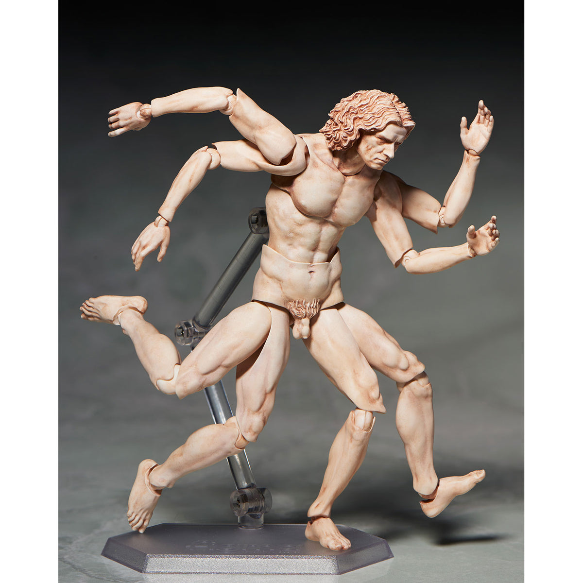 SP-075 figma Vitruvian Man