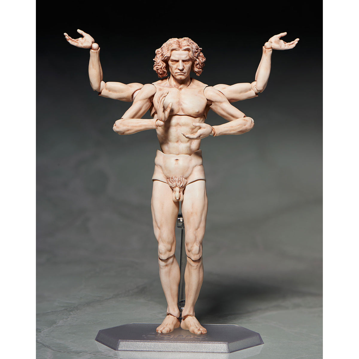 SP-075 figma Vitruvian Man