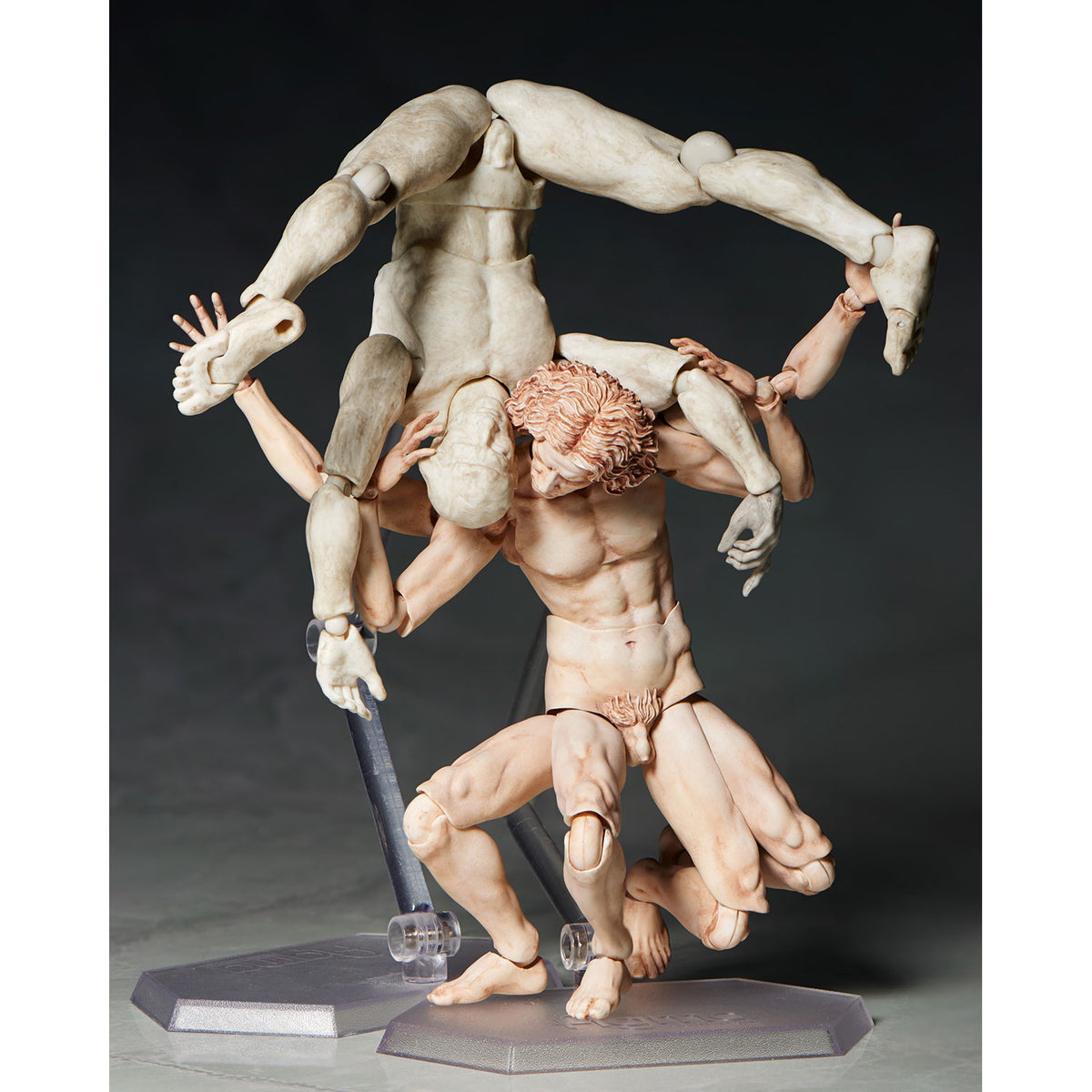SP-075 figma Vitruvian Man