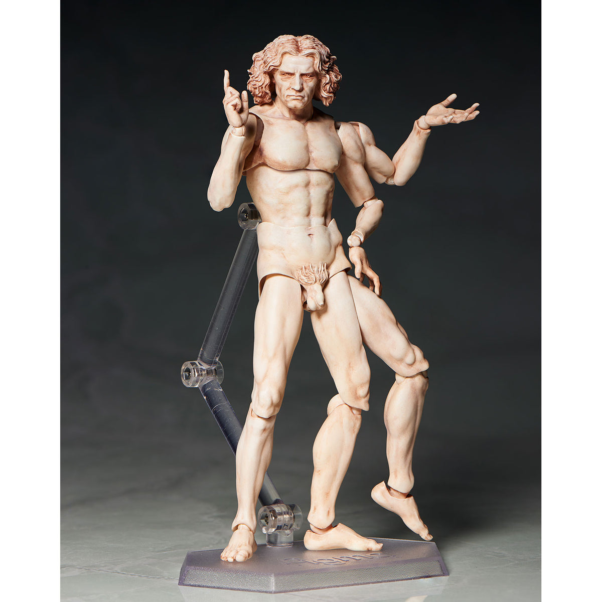 SP-075 figma Vitruvian Man