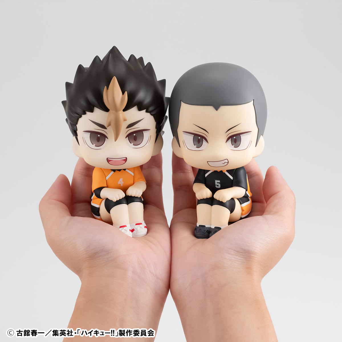 HAIKYU!! YU NISHINOYA & RYUNOSUKE TANAKA
UNIFORM VER. SET【WITH GIFT: CUSHION】