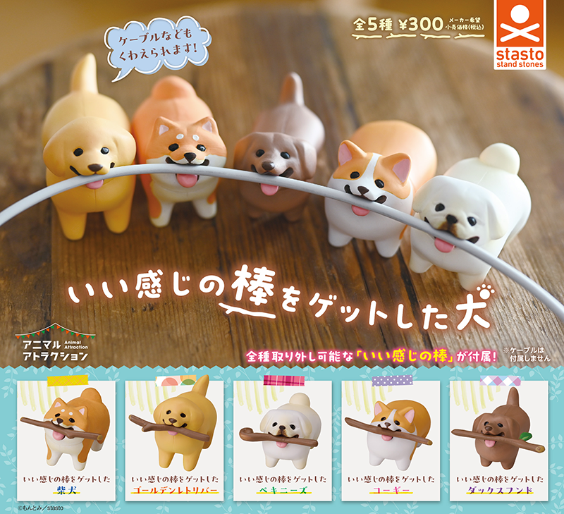 CP3076 A dog that got a nice stick