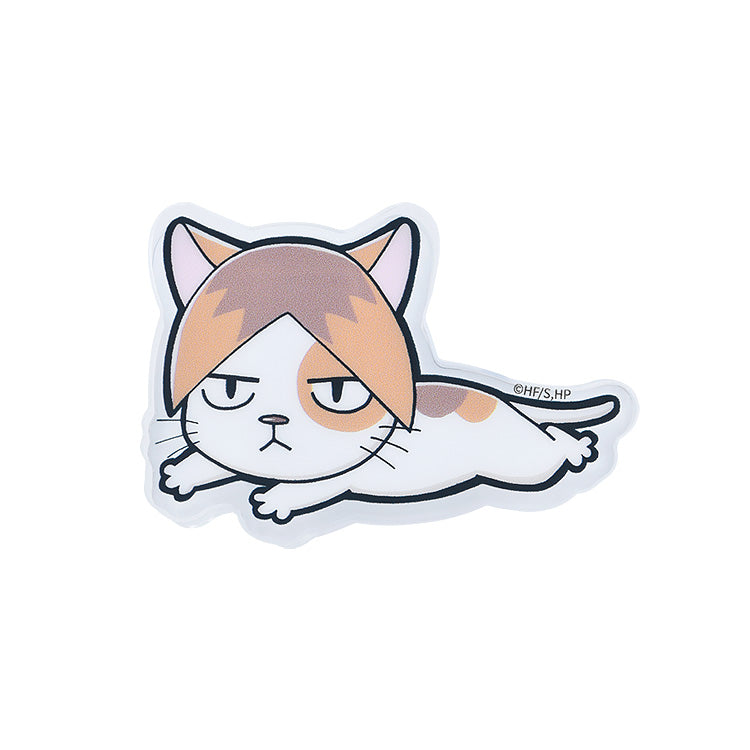 Haikyu !! Acrylic Clip