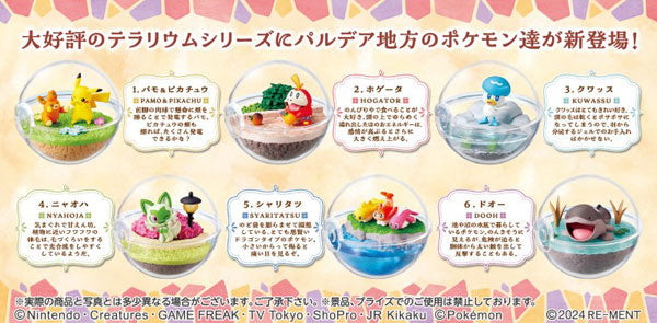 Pokemon Terrarium Collection EX To the world of Paldea