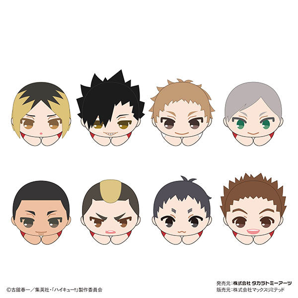 Haikyu !! Hagu Character Collection 8