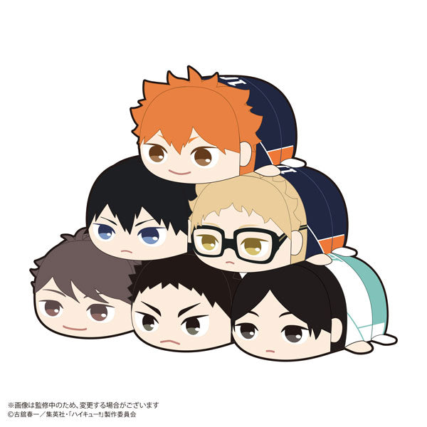 Haikyu !! Potekoro Mascot