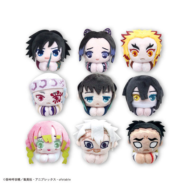 Demon Slayer : Kimetsu no Yaiba Hug Character Collection 6 (rerun)