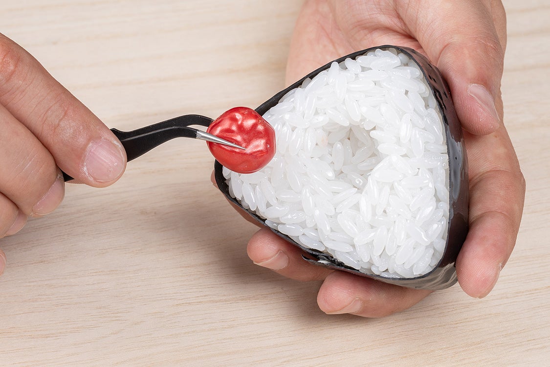 Onigiri Plastic Model