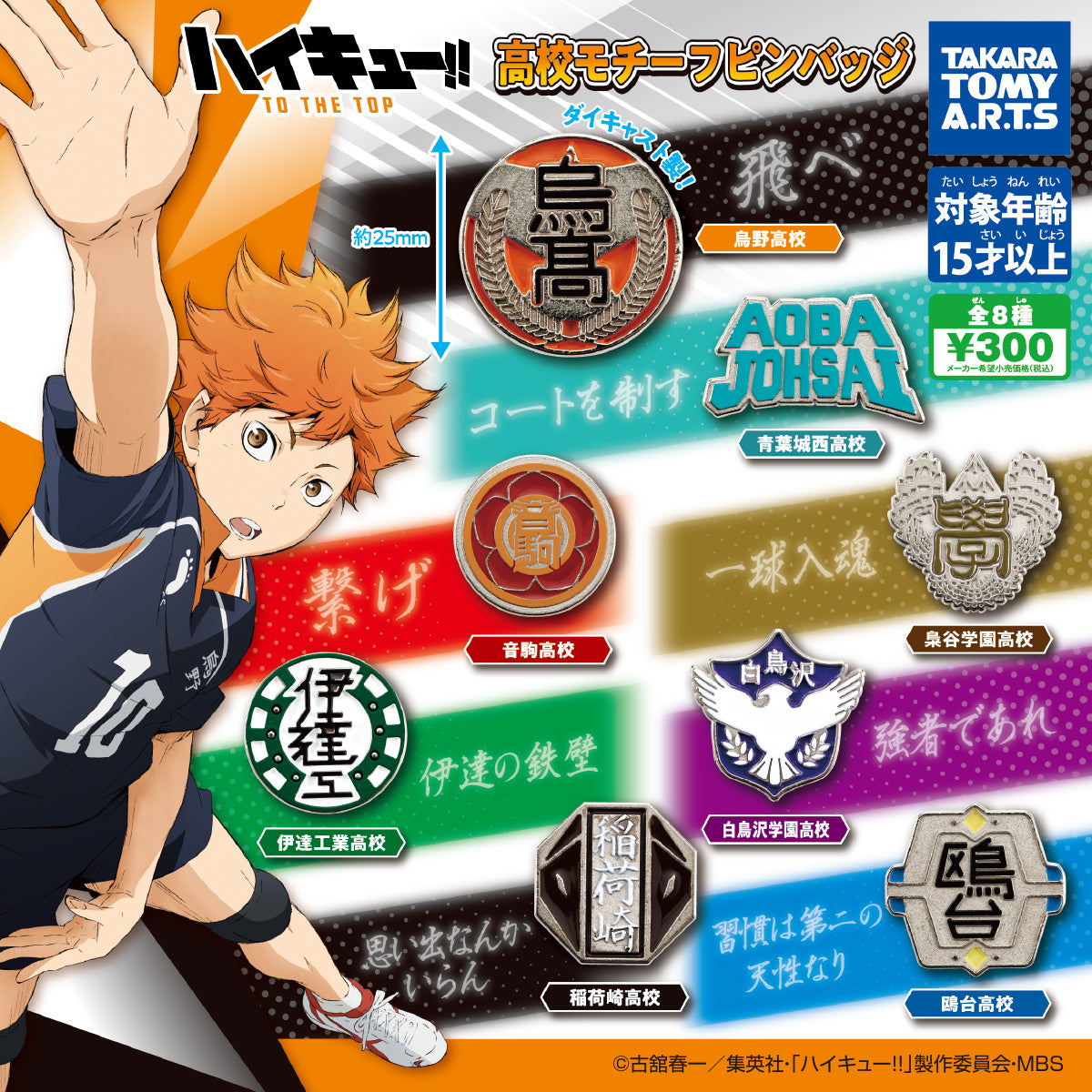 CP3267 Haikyu!! High School Motif Pin Badge