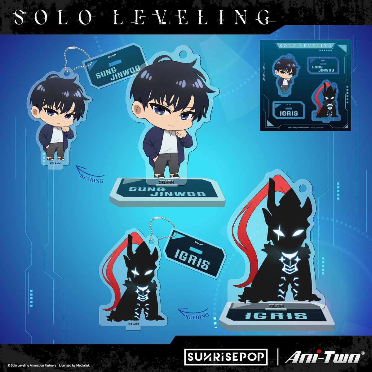 Solo Leveling Acrylic Standee 01