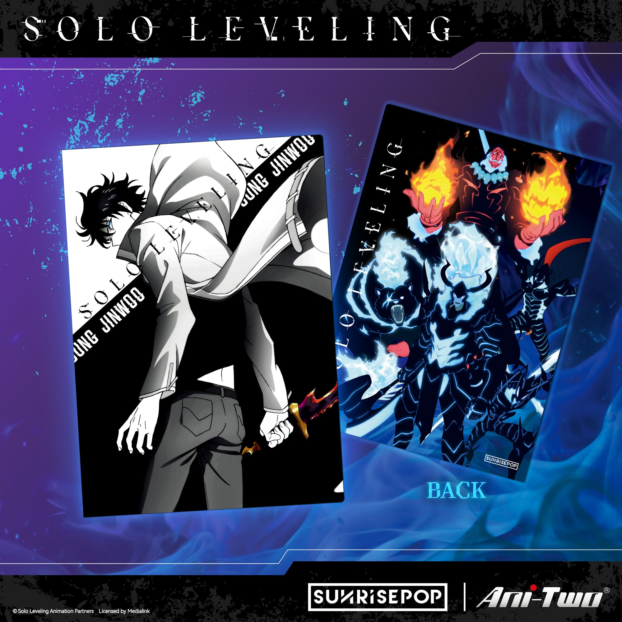 Solo Leveling A4 Folder