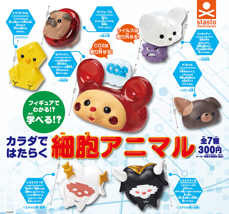 CP2667 Cellular animals that work in the body