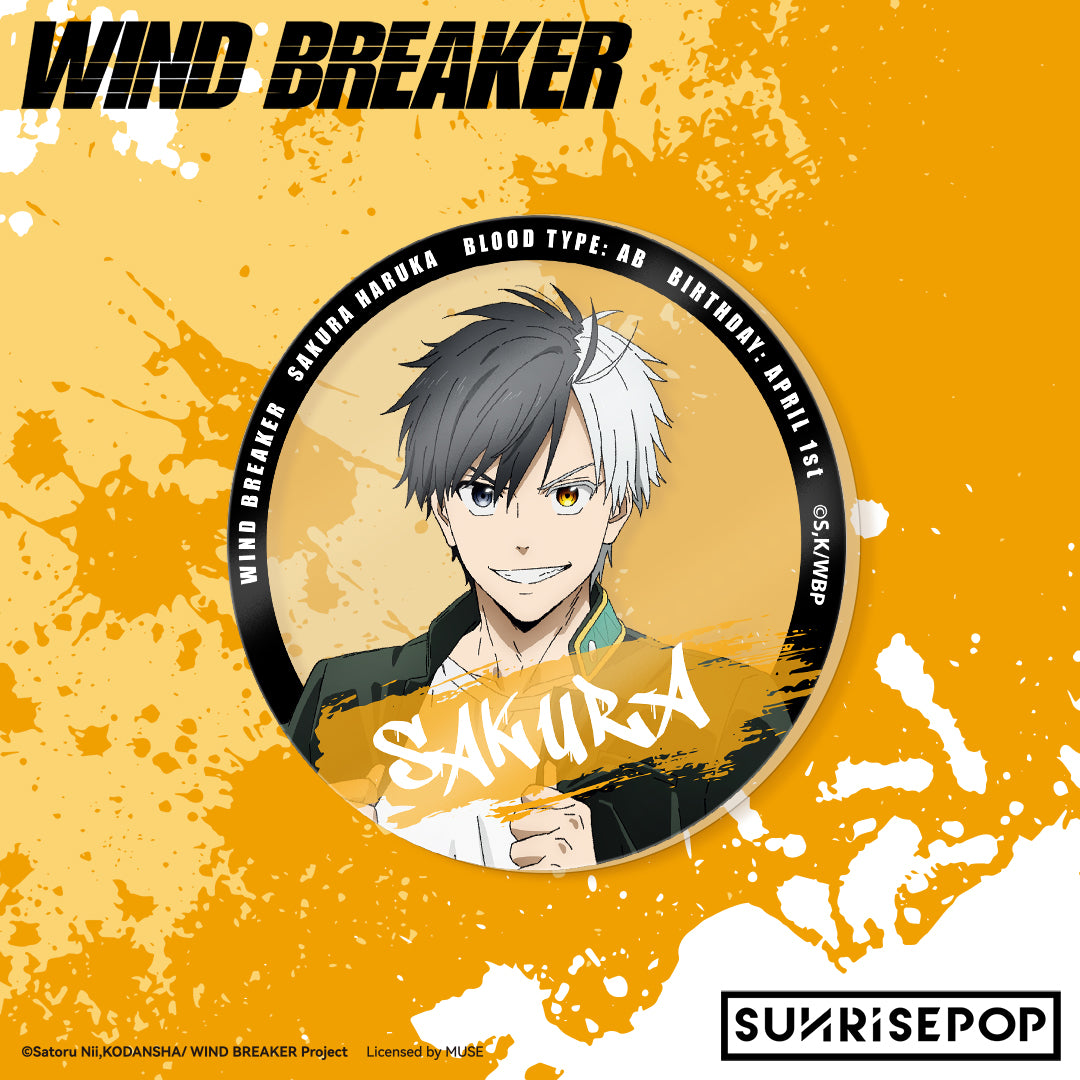 WIND BREAKER Acrylic Coaster