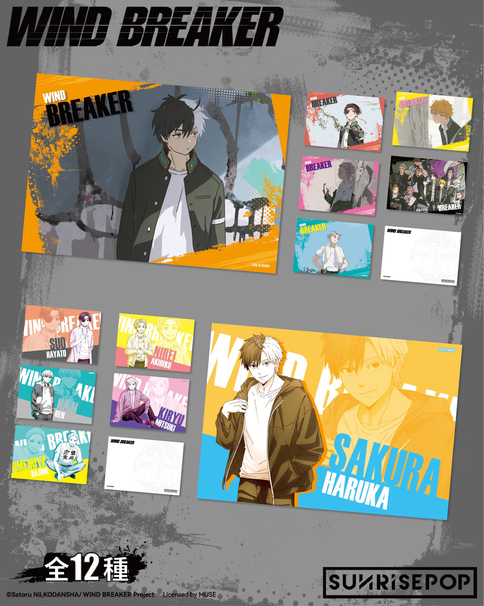 Wind Breaker Postcard Set (12 Styles)