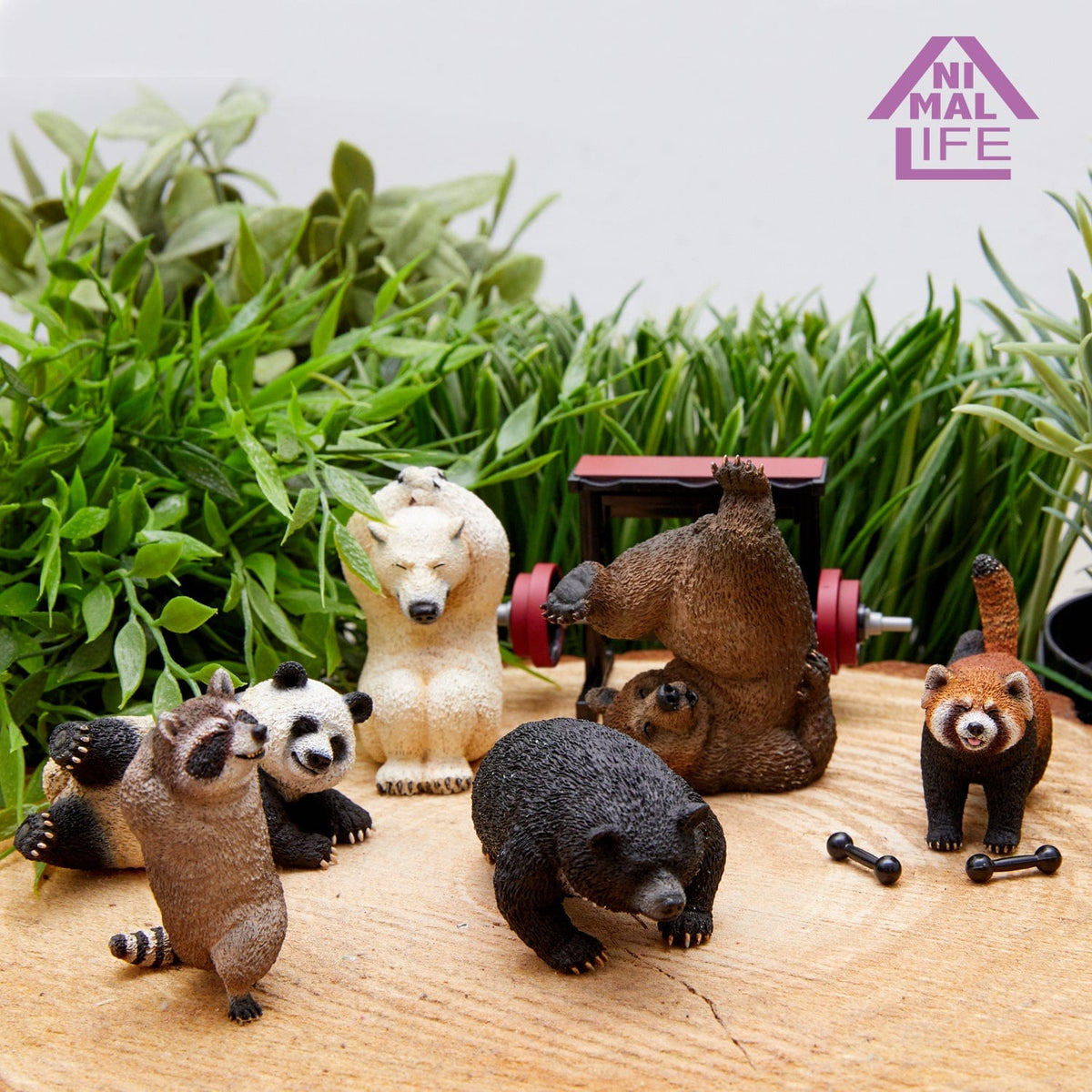 Union Creative ANIMAL LIFE Shaking Shaking