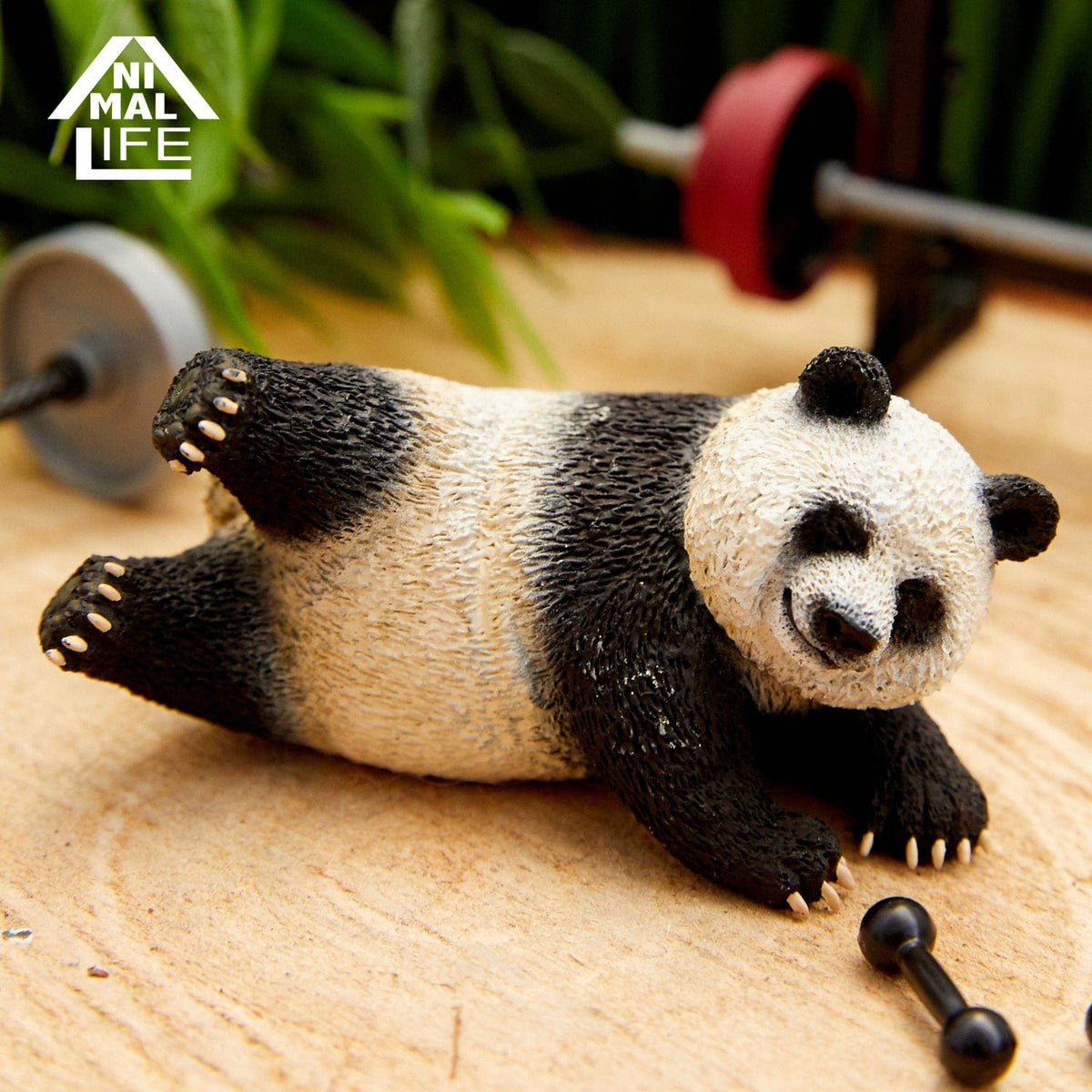 Union Creative ANIMAL LIFE Shaking Shaking