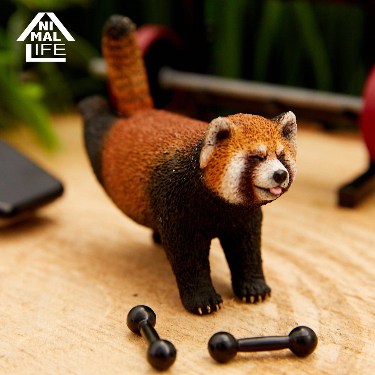 Union Creative ANIMAL LIFE Shaking Shaking