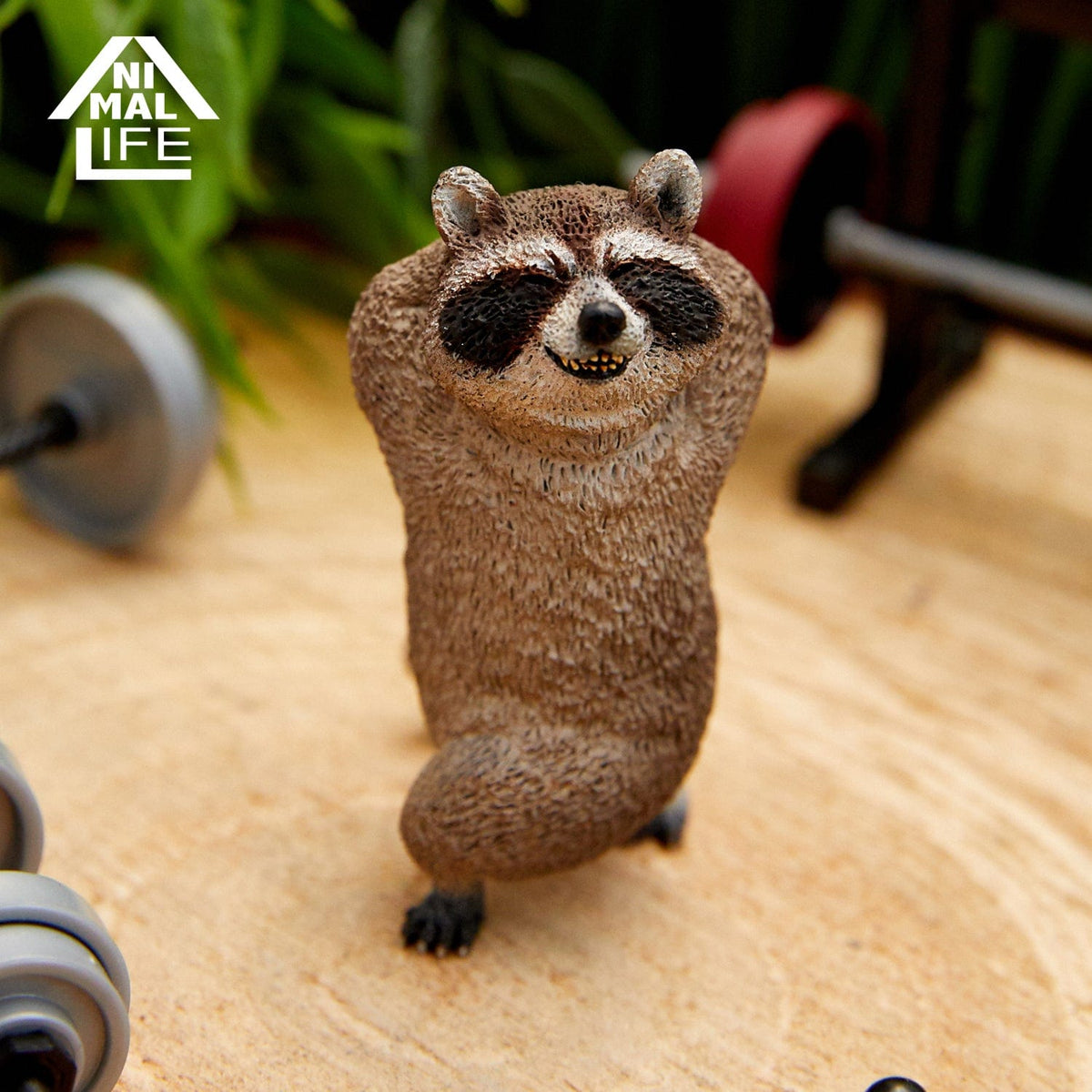 Union Creative ANIMAL LIFE Shaking Shaking