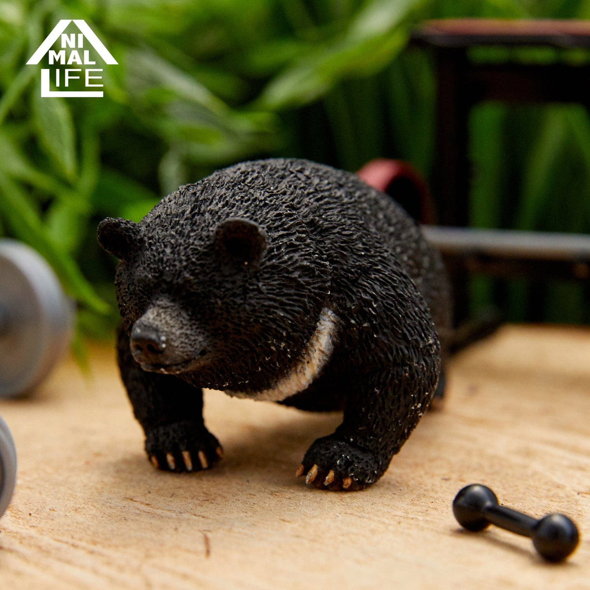 Union Creative ANIMAL LIFE Shaking Shaking