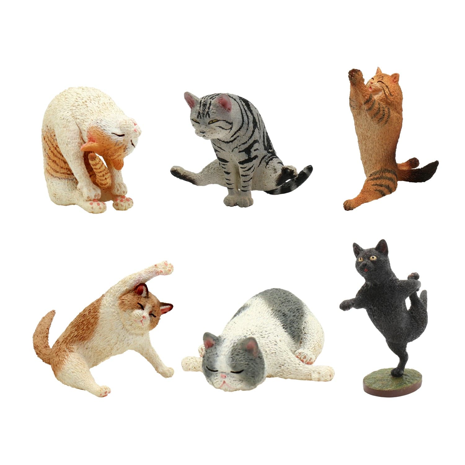 Union Creative ANIMAL LIFE YOGA CAT