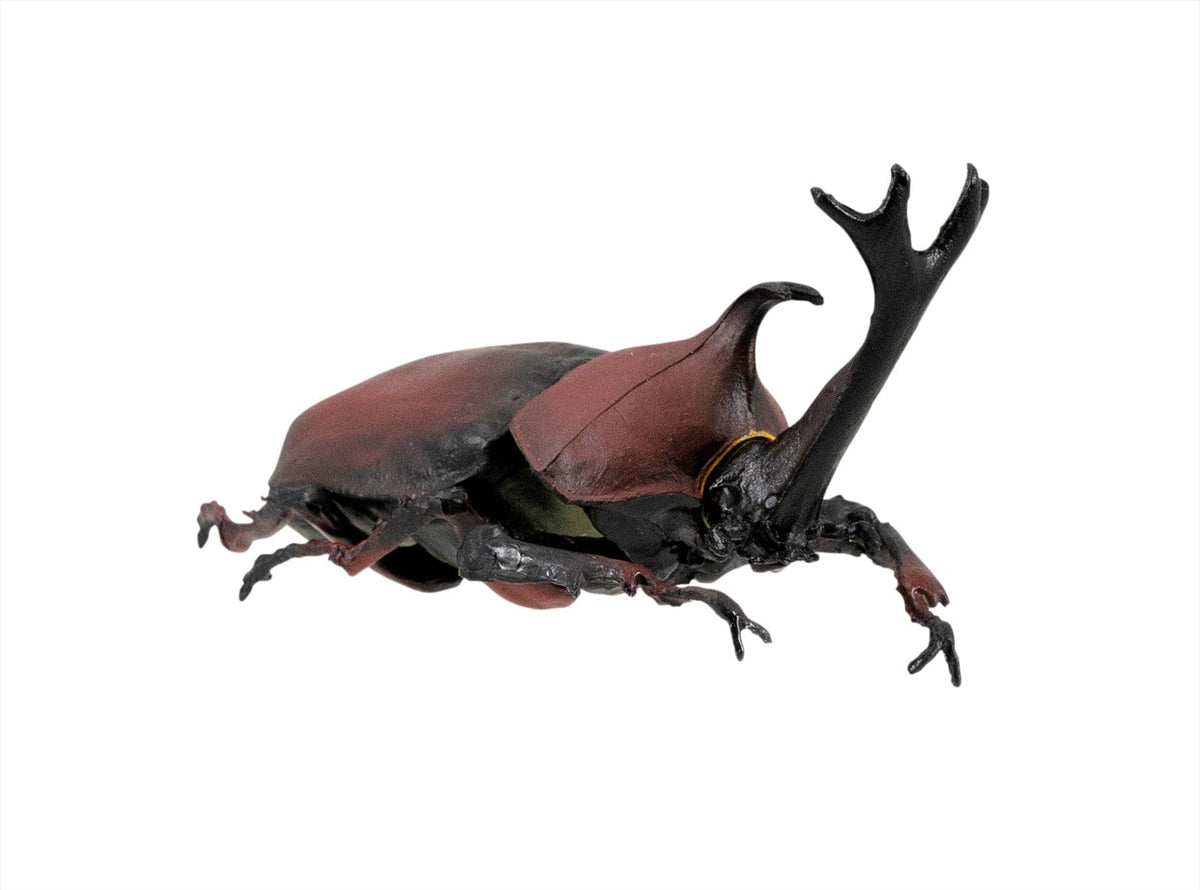 F-toys confect Beetle &amp; Stag beetle Hunter