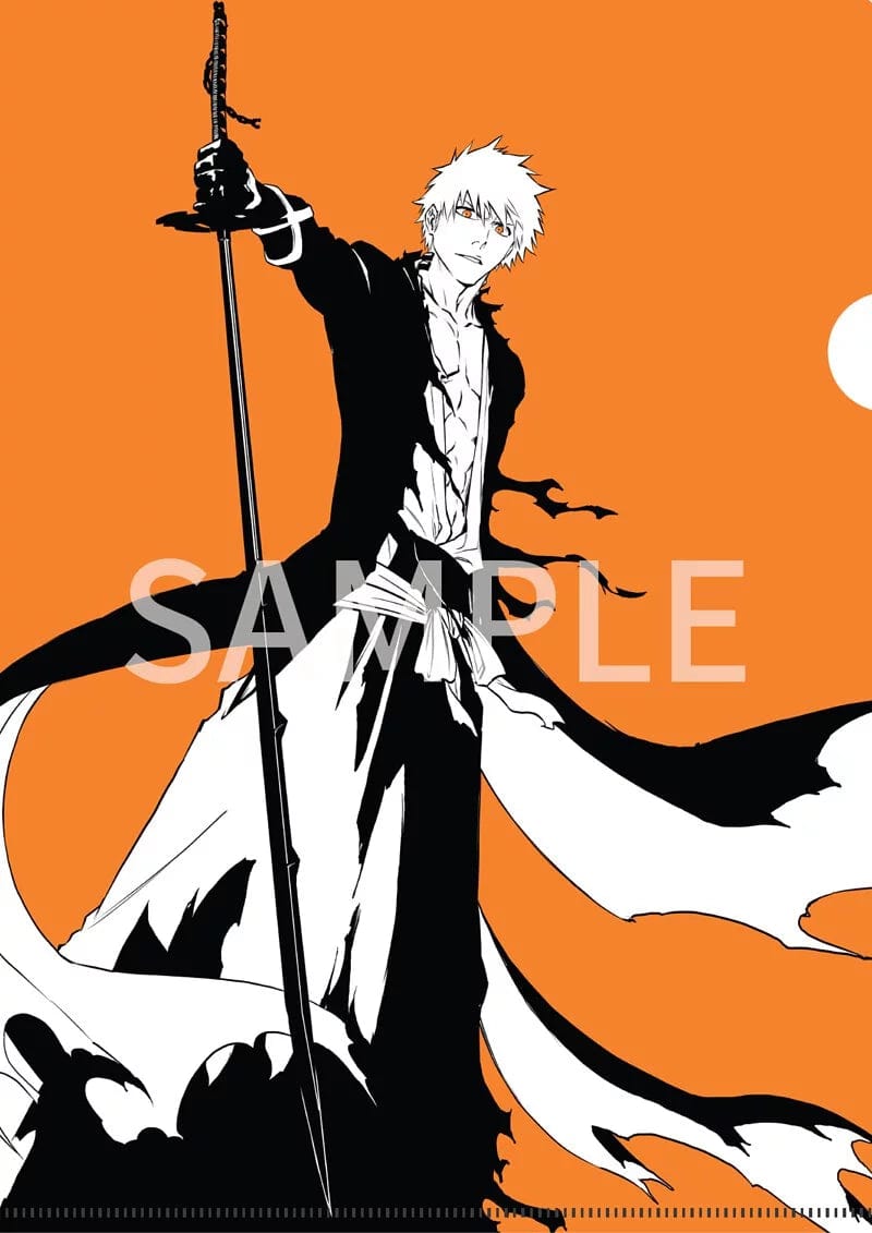 Medialink Bleach S8 A4 Folder ( orange )