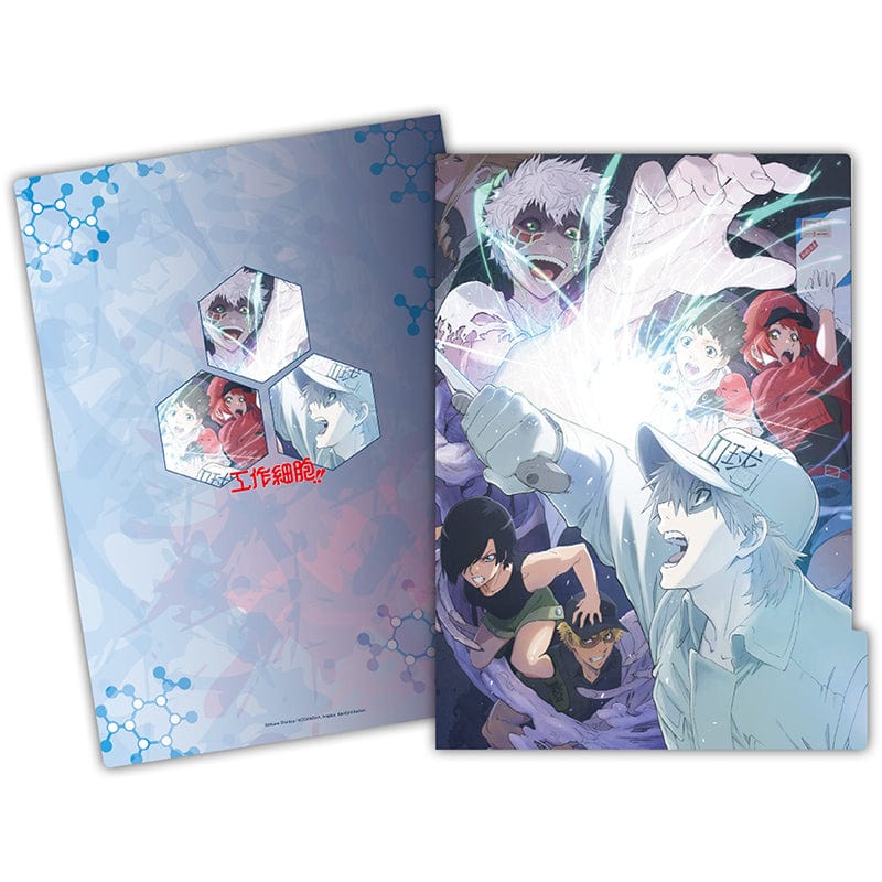 Muse Cells at Work! 5-layer folder