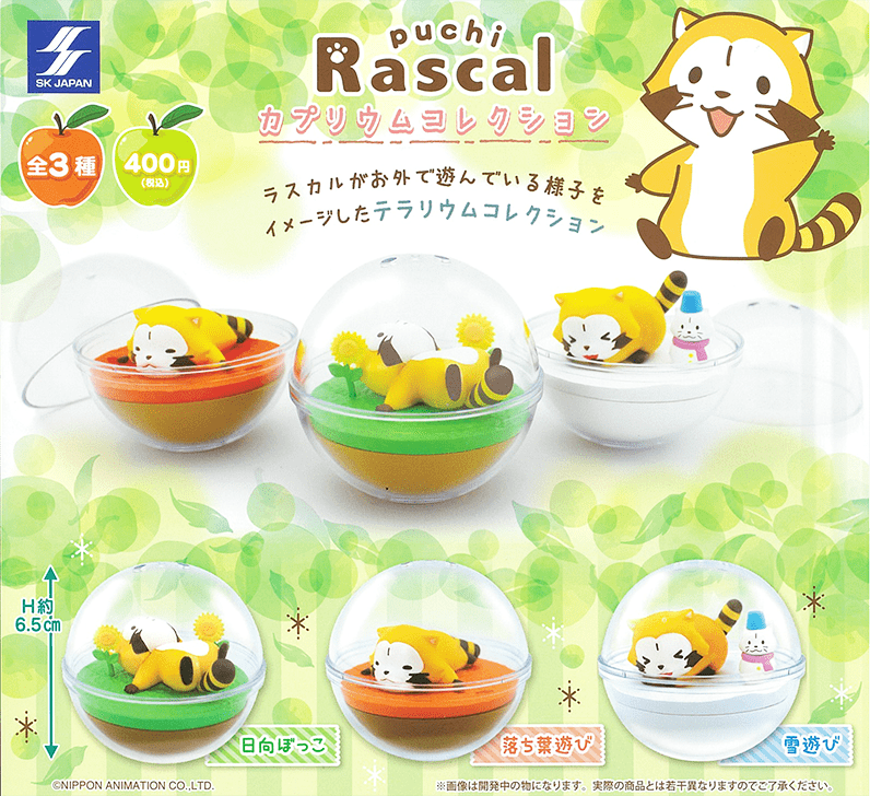 SK JAPAN CP0522 - Rascal the Raccoon Couplium Collection - Complete Set
