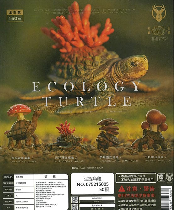 Luyao CP1432 Ecology Turtle