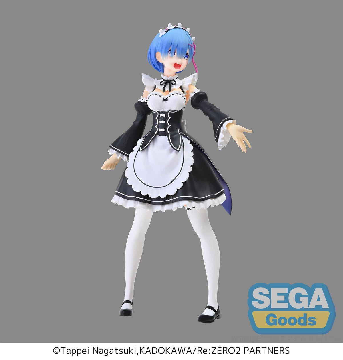 SEGA FIGURIZMα Re : ZERO - Starting Life in Another World - Rem - SALVATION