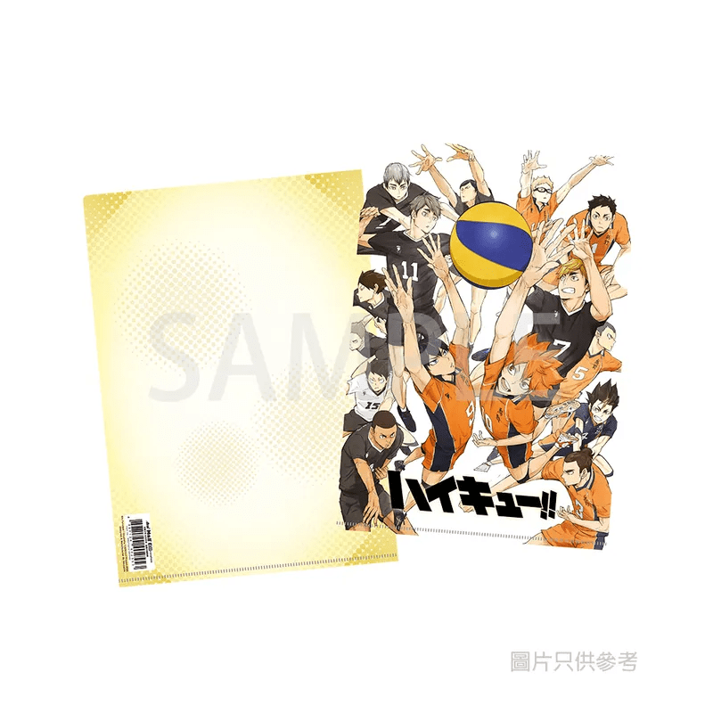 Medialink Haikyu A4 Folder - Karasuno and Inarizaki
