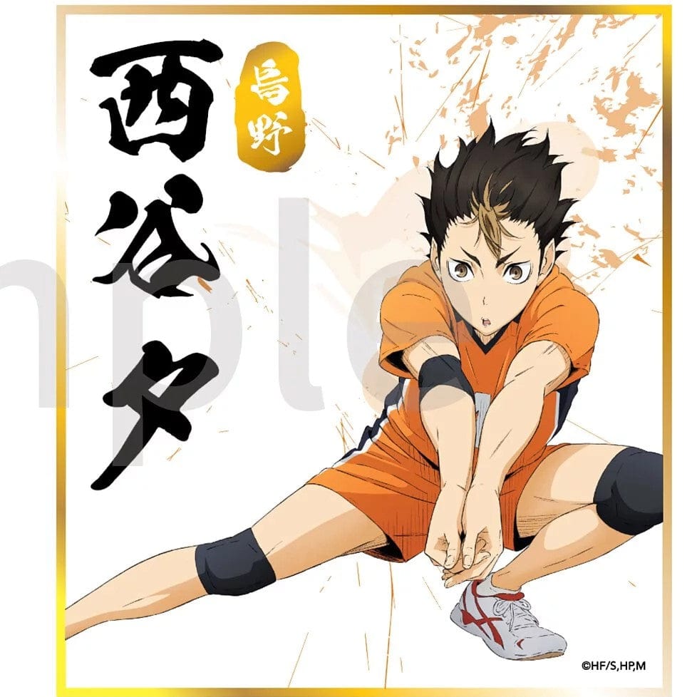 Medialink Haikyu Shikishi Board