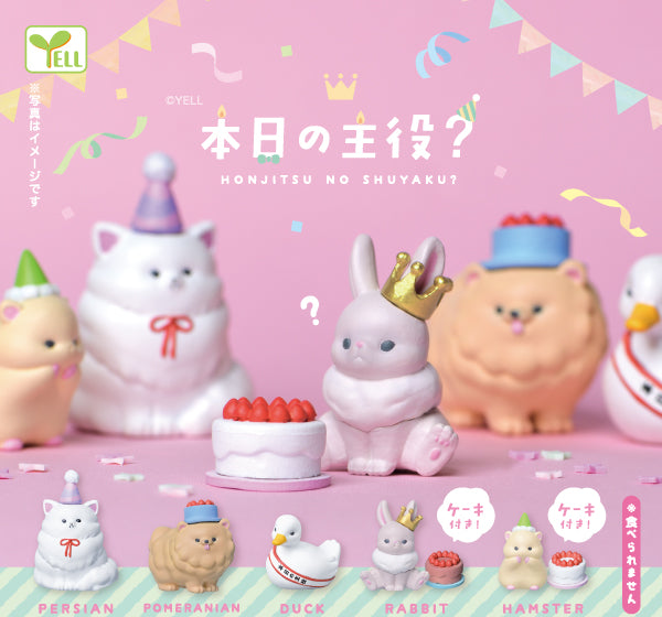 WY0103 Today's Star?