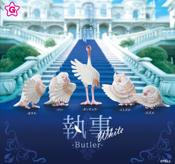 WY0095 Butler White