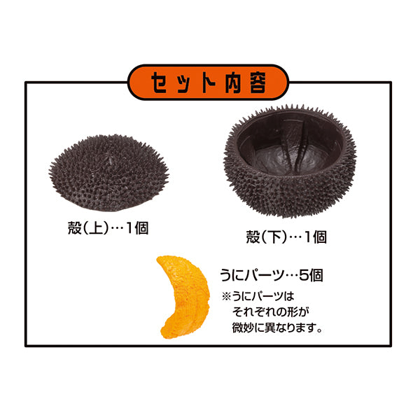 KAITAI PUZZLE SEA URCHIN PUZZLE (rerun)