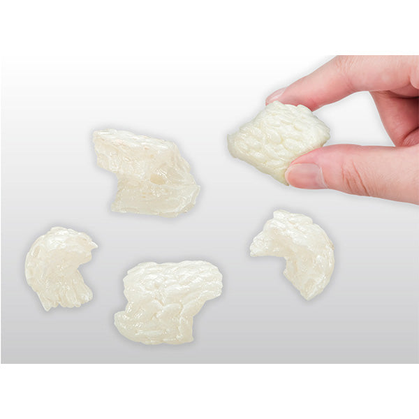 KAITAI PUZZLE LITE Sushi puzzle (TUNA Ver.)