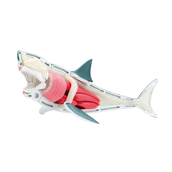 KAITAI PUZZLE SHARK PUZZLE