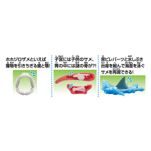 KAITAI PUZZLE SHARK PUZZLE